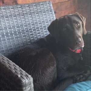 Meet your Posher, Morganne